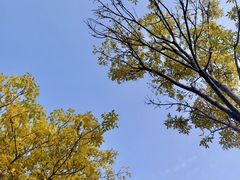 -观象山公园