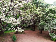 -国家植物园南园