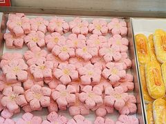 -盛京大奥莱(沈阳奥体店)