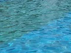 -海豚湾梦幻水上乐园