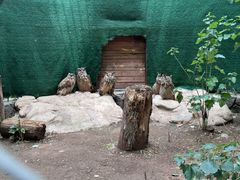-沈阳鸟岛