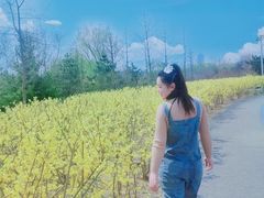 -永定河休闲森林公园