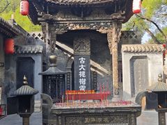 -大槐树寻根祭祖园