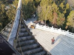 -花洲书院
