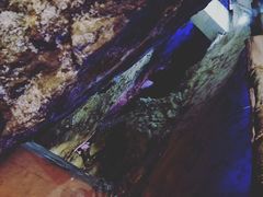 -遂昌金矿国家矿山公园