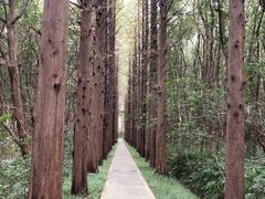 -同里国家湿地公园