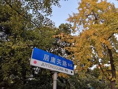 -八大关景区