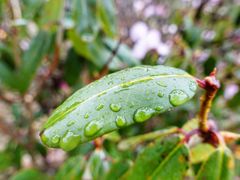 -硗碛藏寨·神木垒景区