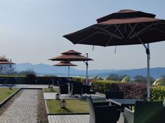 -索菲特西湖大酒店·香榭丽全日候餐厅(南山路店)