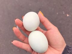 -蟹天蟹地农家菜·阳澄湖大闸蟹(浅水湾店)