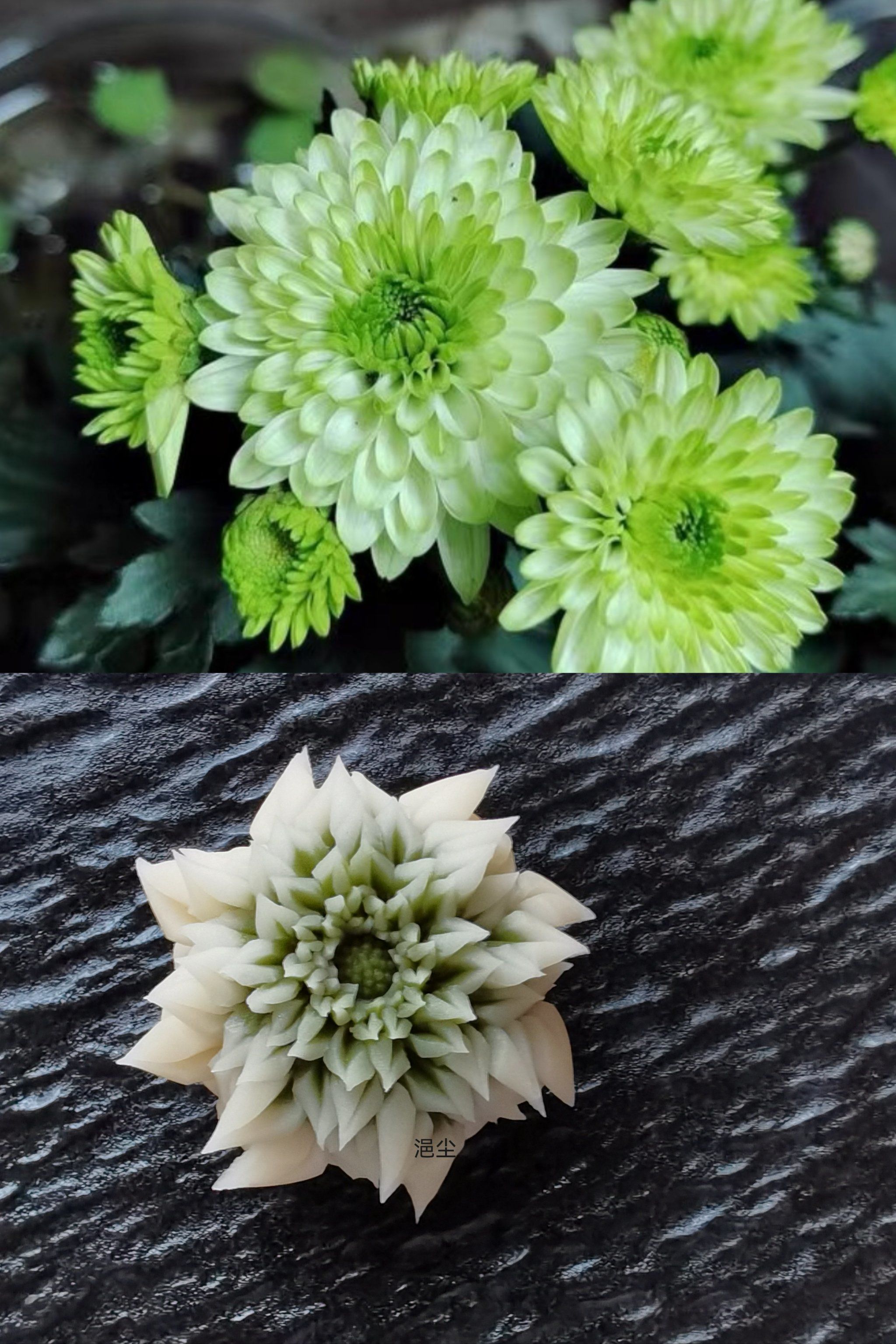 心素如简   人淡如菊