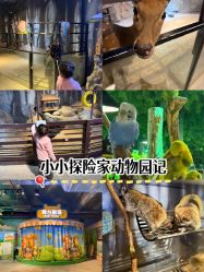 -酷嗒动物文化乐园(cutezoo西溪乐天城店)