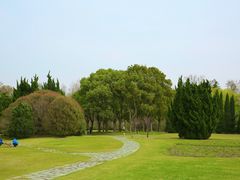 -上海滨江森林公园