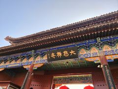 -大悲禅寺