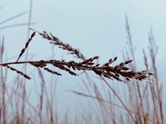 -萍乡武功山风景名胜区