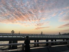 -演武大桥观景平台