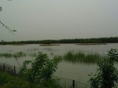 -泗洪洪泽湖湿地景区