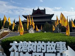 -大槐树寻根祭祖园