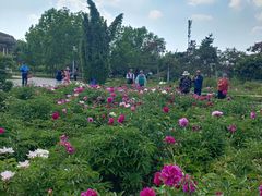 -长春公园(普阳街道)