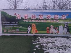 -宠物寄养训练学校