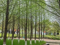 -泰州凤城河风景区-泰山公园