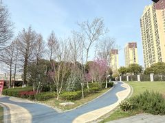 -映月湖中央公园