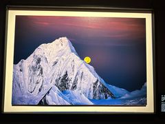 -罗红摄影艺术馆