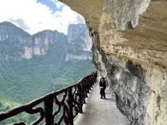 -鹿院坪生态旅游景区