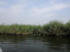-白洋淀景区