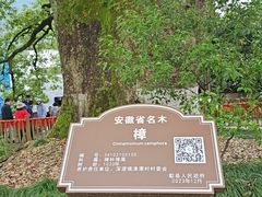 -新安江山水画廊风景区