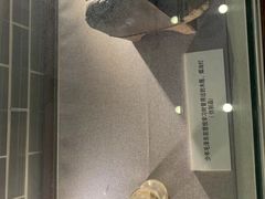 -韶山毛泽东同志故居