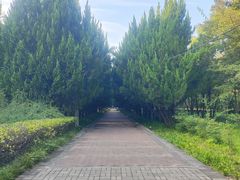 -洛阳市隋唐城遗址植物园
