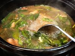-一煲鸽