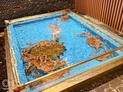 -蟹将军·松叶蟹和牛日料放题自助(K11店)