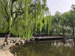 -玲珑塔公园