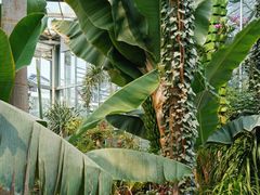 -北京植物园-展览温室