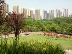 -龙头寺公园
