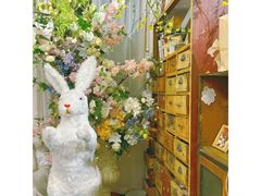 -知物癖(牛王庙店)