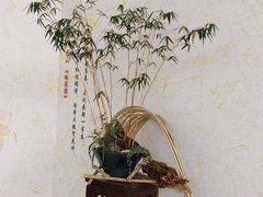 -南山植物园