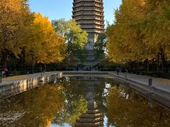 -玲珑塔公园