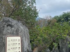 -千岛湖石林