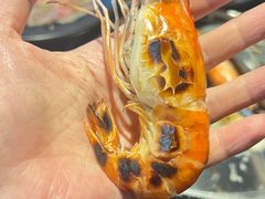 -Kingkong Buffet(The Mercury ville)