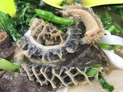 -正宗阳山牛杂(东城店)