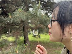 -秦始皇帝陵博物院-丽山园