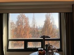 -南京THE TAI太和紫金大酒店