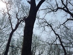 -音乐台
