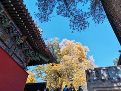 -潭柘寺景区