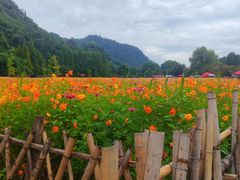 -花溪公园