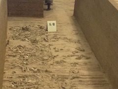 -秦始皇帝陵博物院-丽山园
