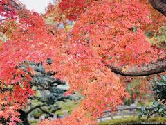 -京都御所